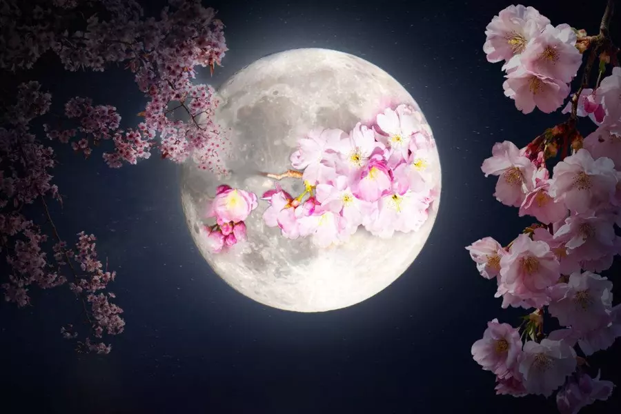 A Flowerful Moonrise in May