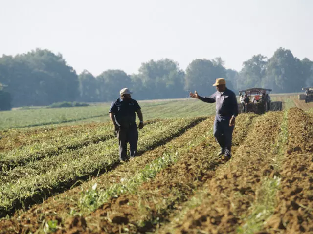 The Promise of Economic Relief for Black Farmers: Insights from Breaking Insurance News