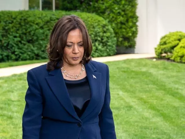 Should Kamala Harris Lead? Only 37% of Respondents Agree in Recent Poll