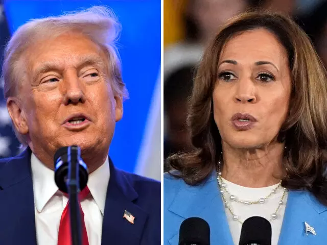 Trump Gains Ground on Harris in Latest Election Prediction Poll