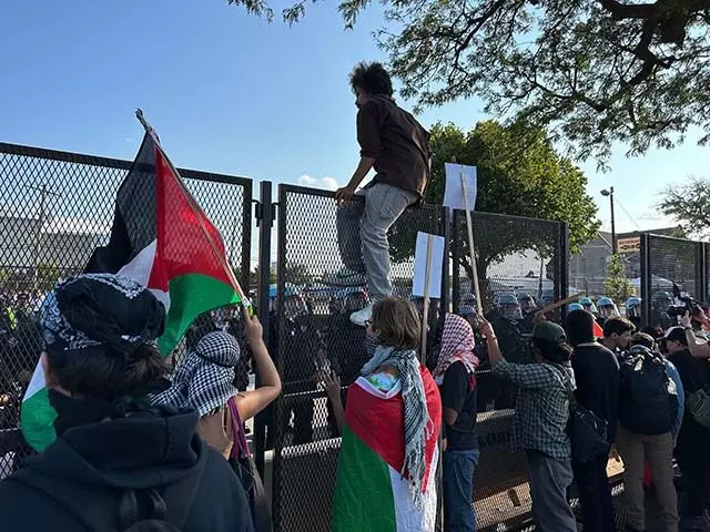 Chicago DNC: Senators Predict Wild Protests Amid Media Ignorance