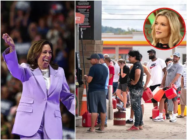 Vice President Kamala Harris Under Fire for Hollywood Fundraiser Amid Hurricane Helene Crisis